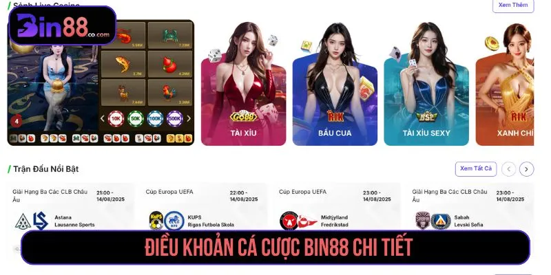 Điều khoản cá cược BIN88 về tài khoản, giao dịch và xử lý kèo