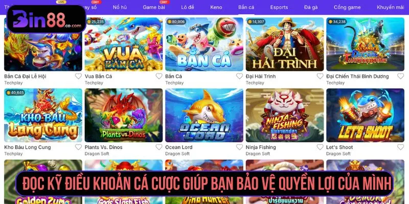 Đọc kỹ điều khoản cá cược giúp người chơi hiểu rõ quyền lợi và trách nhiệm