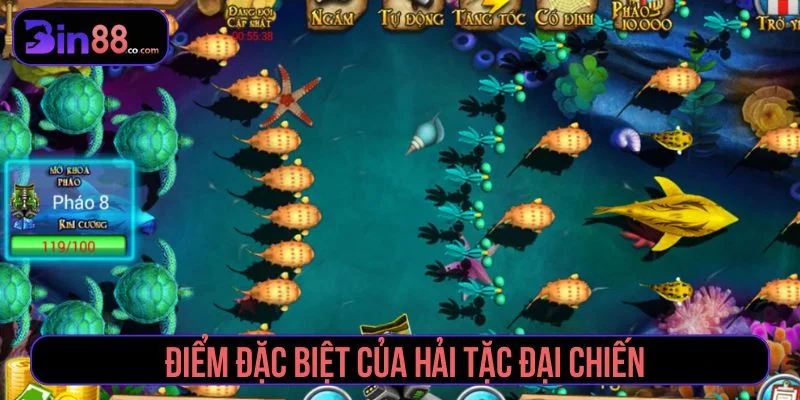Lối chơi trong Hải Tặc Đại Chiến