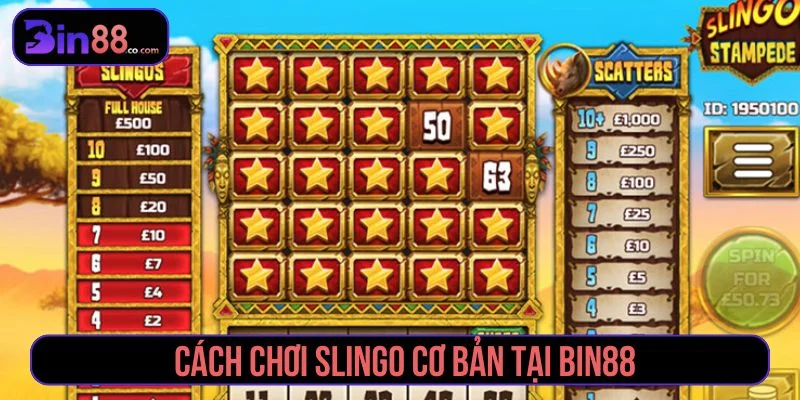 Cách chơi Slingo cơ bản
