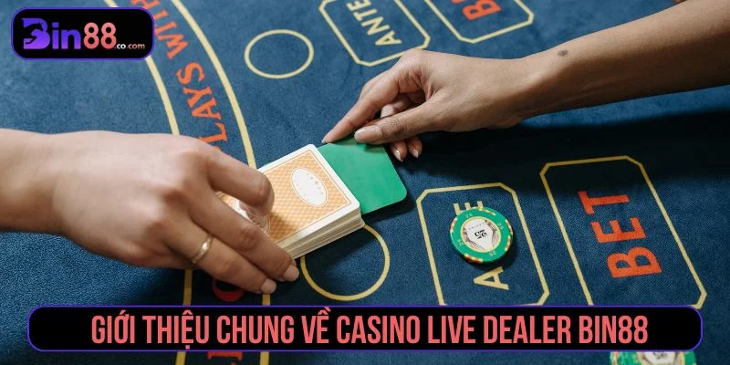 Tổng quan về casino live dealer trực tuyến