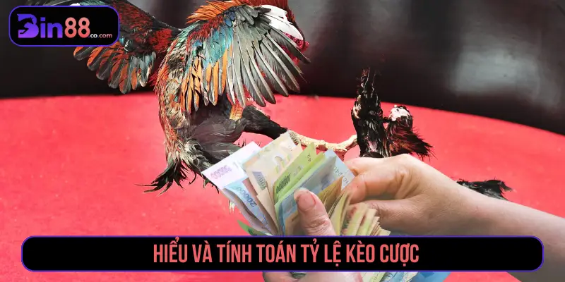 Hiểu và tính toán tỷ lệ kèo đá gà