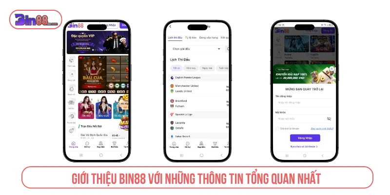 Thông tin tổng quan về trang cá cược trực tuyến