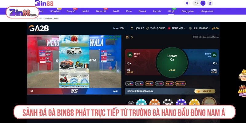 Sảnh đá gà phát trực tiếp